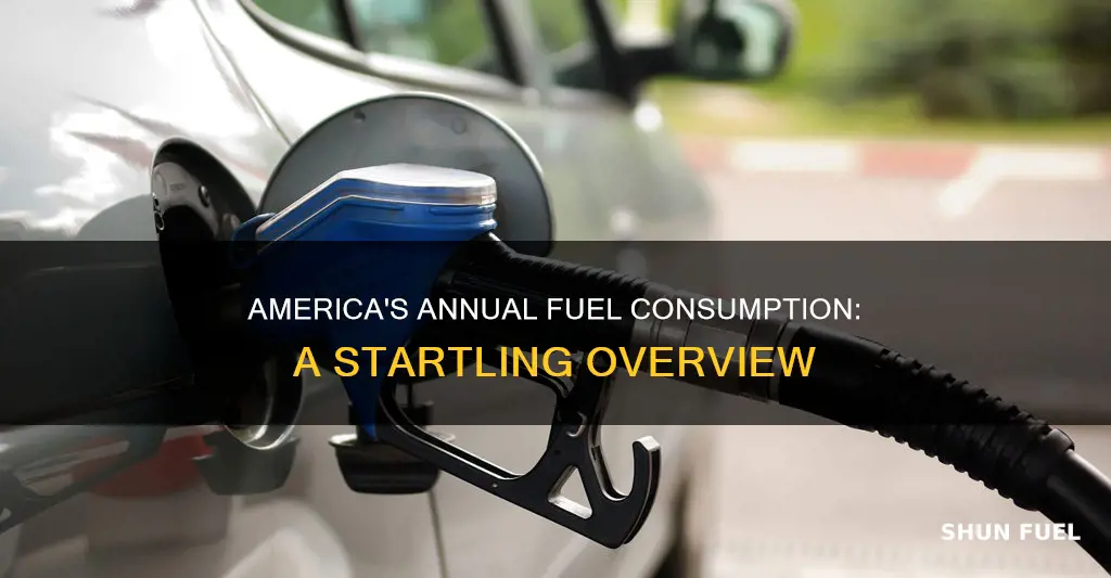 how much fuel does america use per year