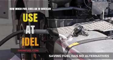 Understanding the Fuel Consumption of Idling 18-Wheelers