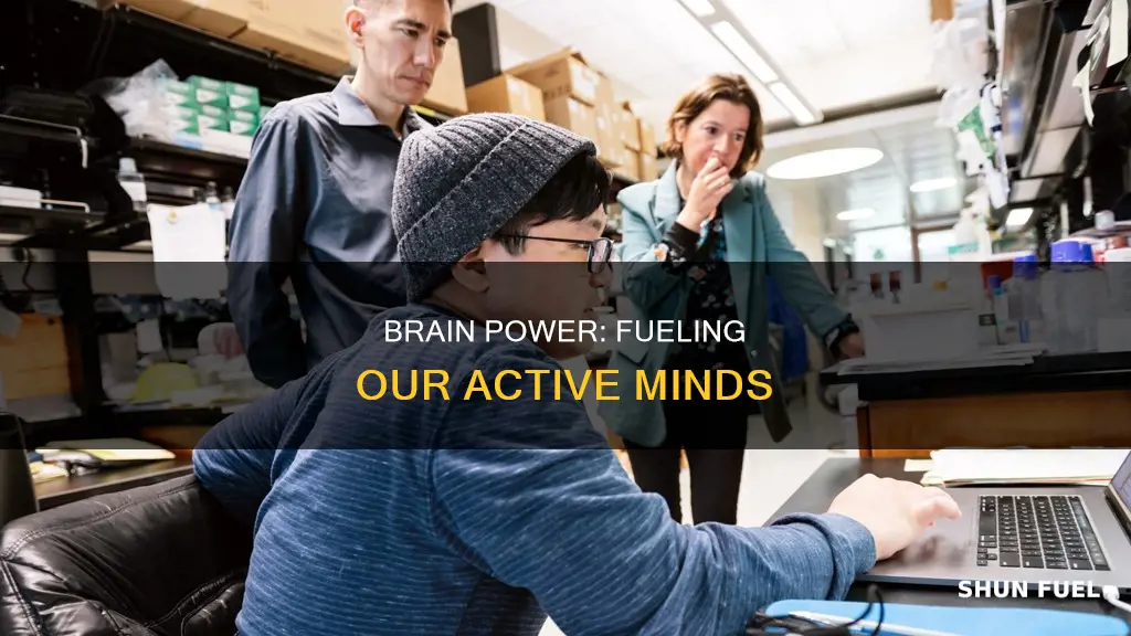how much fuel does an active brain use