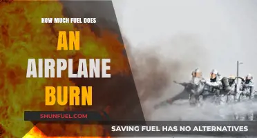 Airplane Fuel Efficiency: Burning Questions Answered