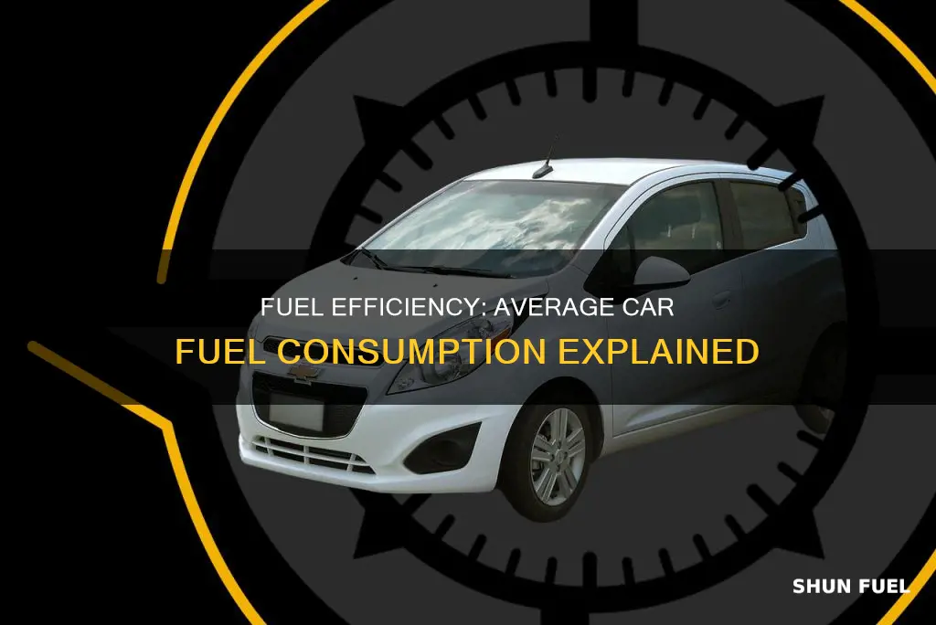 how much fuel does an average car use per km