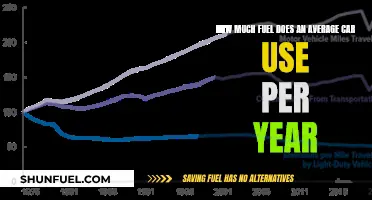 Average Car Fuel Consumption: Annual Insights