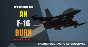 Fuel Consumption of an F-16: Burning Questions Answered