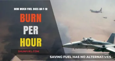 Fuel Consumption of F-18s: Burning Up the Sky