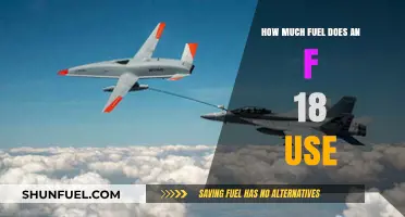 Fuel Consumption of an F-18: How Efficient Is It?
