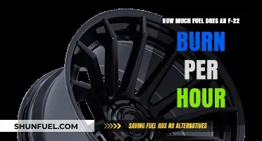 Fuel Consumption of F-22 Raptors: By the Hour