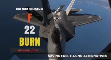 Fuel Efficiency of F-22 Raptors: Burning Questions Answered