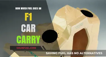 The Fuel Efficiency Secrets of F1 Cars