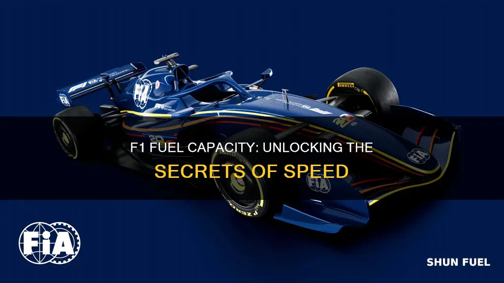 how much fuel does an f1 car hold