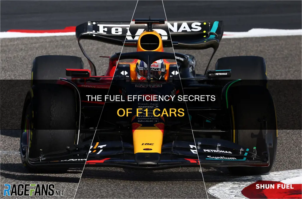 how much fuel does an f1 car hold