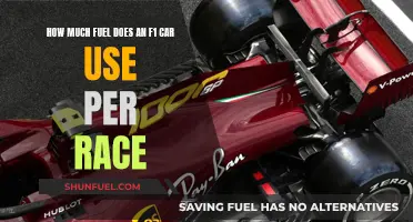 F1 Fuel Efficiency: Unlocking the Secrets of Race Day Consumption