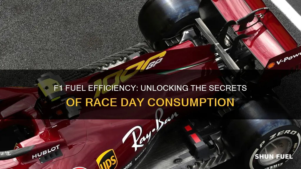 how much fuel does an f1 car use per race