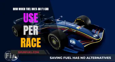 F1 Fuel Efficiency: How Far Can They Go?