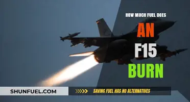 Fuel Consumption of an F-15: Burning Questions Answered