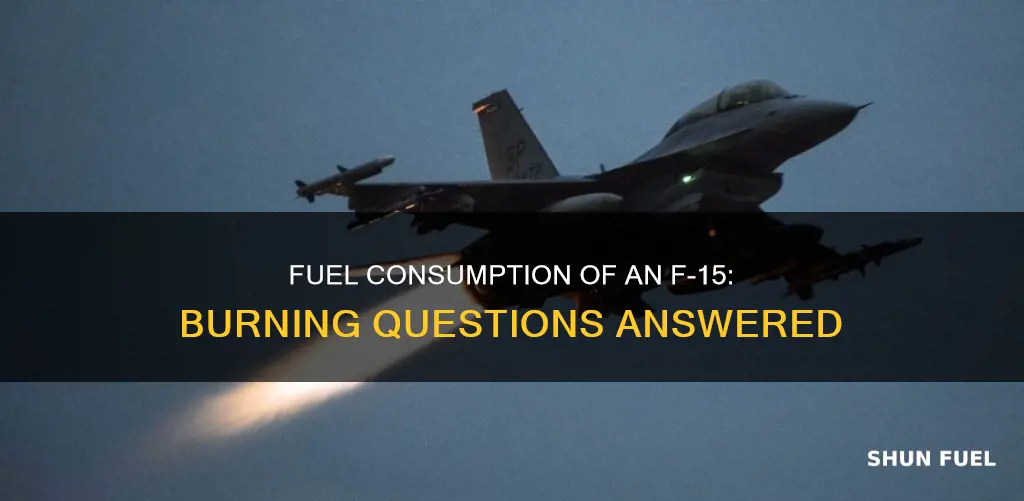 how much fuel does an f15 burn