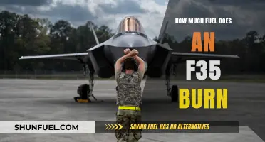 F-35 Fuel Consumption: Burning Up the Sky