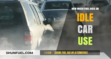 Idling Cars: Fuel Consumption and Environmental Impact