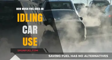 Idling Cars: Fuel Consumption and Costly Mistakes
