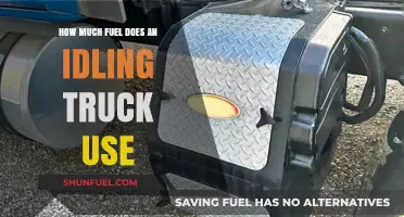 Trucks Idling: Fuel Consumption and Cost Insights