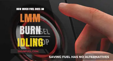 Understanding Fuel Consumption: LMM Idling Efficiency
