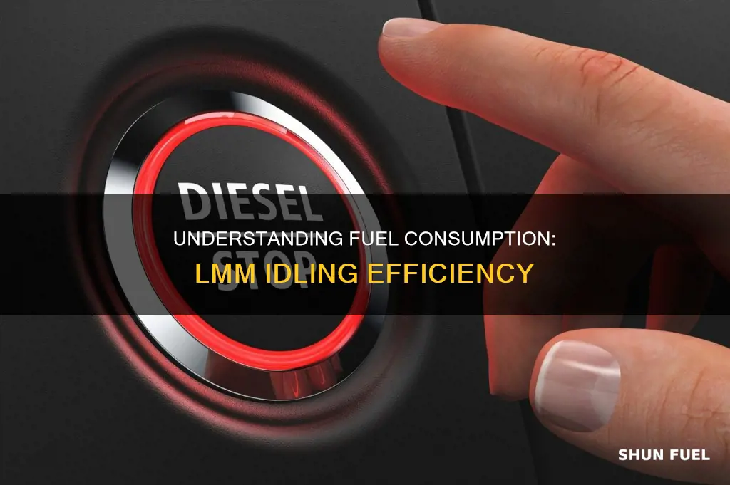 how much fuel does an lmm burn idling