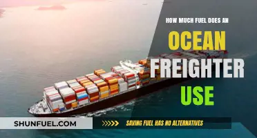 Ocean Freighters: Fuel Consumption and Efficiency