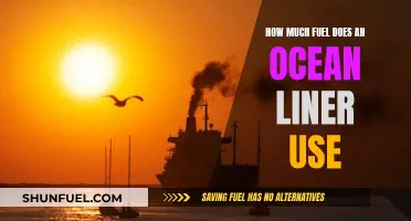 Ocean Liners: Fuel Consumption and Efficiency Explored