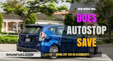 Autostop: Saving Fuel, Money and the Planet