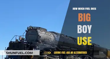 Big Boy's Thirst: Fuel Consumption Explored