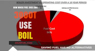 Understanding the Fuel Consumption of BRS 3000T Boilers