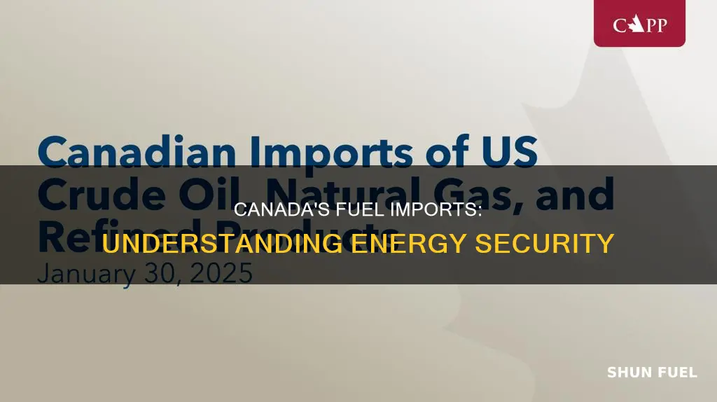 how much fuel does canada import