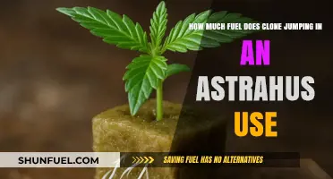 Fuel Efficiency of Clone Jumping in an Astrahus