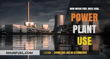 Coal Power Plants: Fuel Consumption Insights