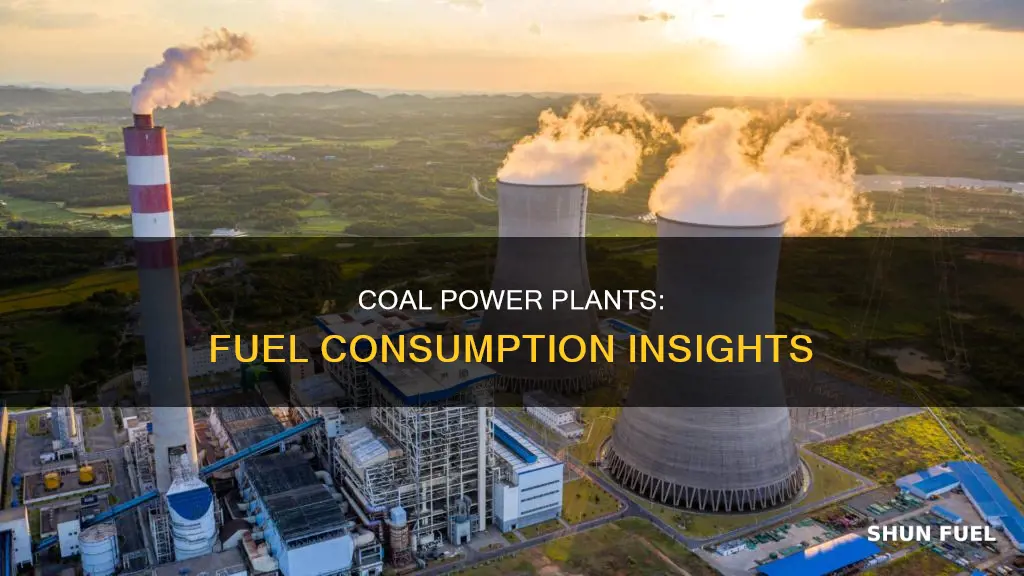 how much fuel does coal power plant use