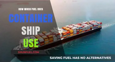 The Fuel Consumption of Container Ships
