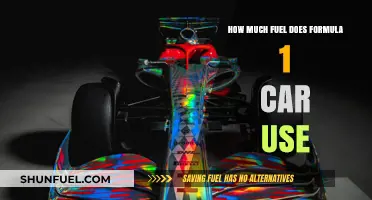 Fuel Efficiency in Formula 1 Racing: How Much is Too Much?