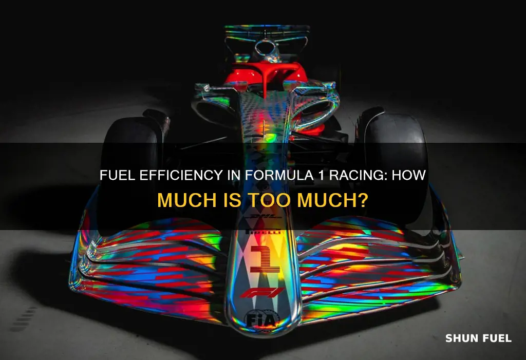 how much fuel does formula 1 car use