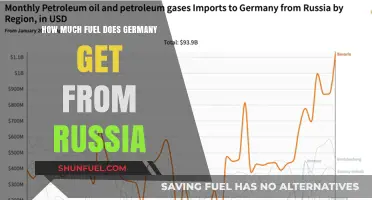 Germany's Russian Fuel Imports: How Much and Why?