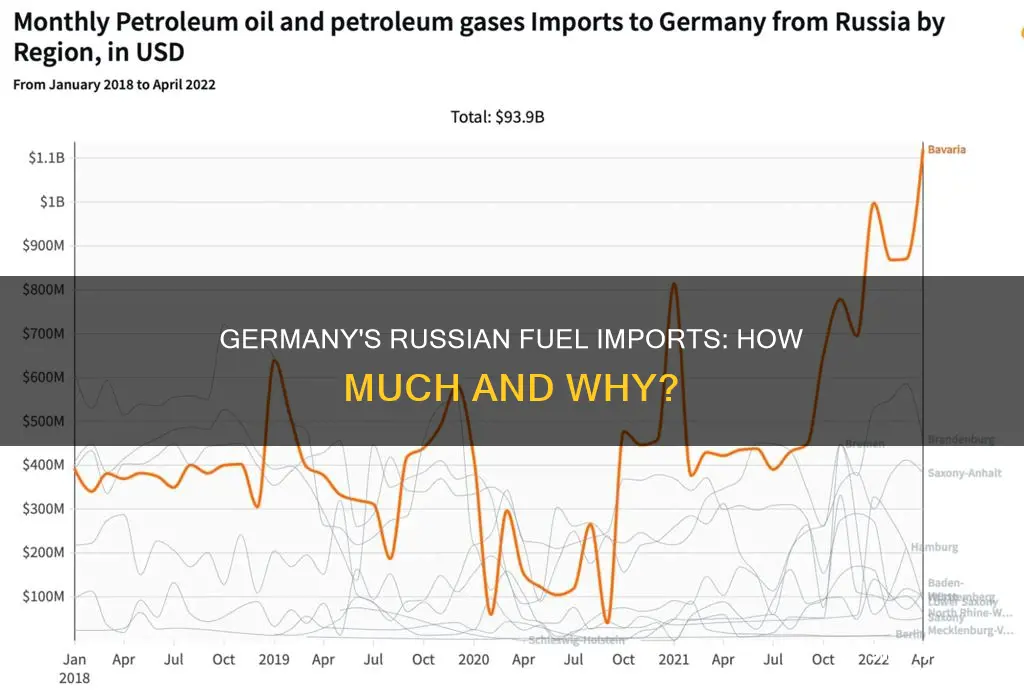 how much fuel does germany get from russia