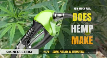 Hemp Fuel: How Much Energy Does it Produce?