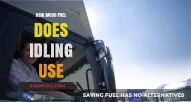 Idling Cars: Fuel Consumption and Environmental Impact