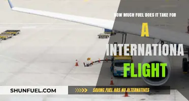 Fuel Consumption on International Flights: How Much is Too Much?