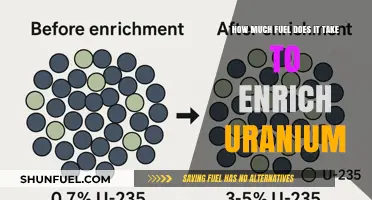 The Energy Cost of Uranium Enrichment