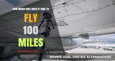 Fuel Consumption: Flying 100 Miles
