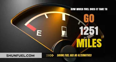 Fuel Consumption: 1251 Miles of Travel