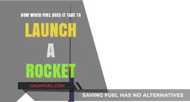 Fuel Consumption: Launching a Rocket Requires How Much?