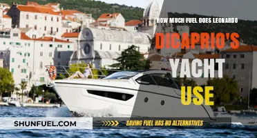 The Carbon Footprint of DiCaprio's Yacht