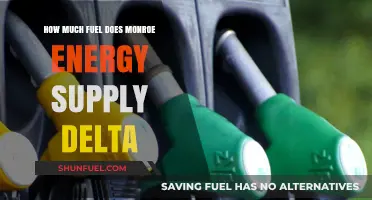 Monroe Energy: Fuel Supplier for Delta Airlines
