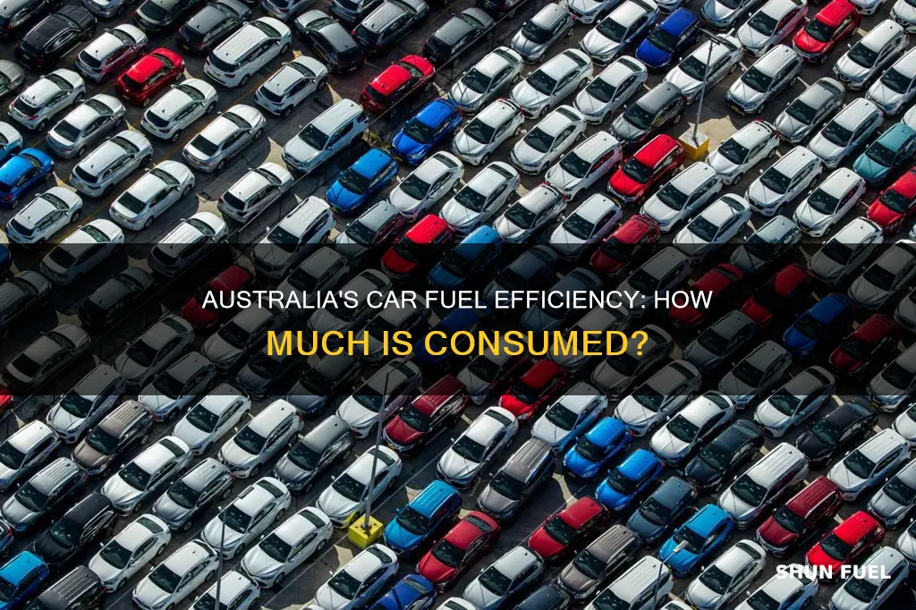 how much fuel does my car use australia