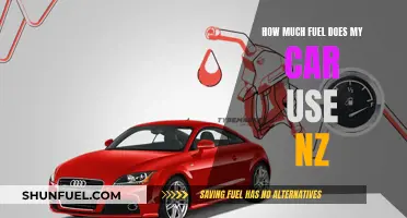 Understanding Your Car's Fuel Consumption in New Zealand